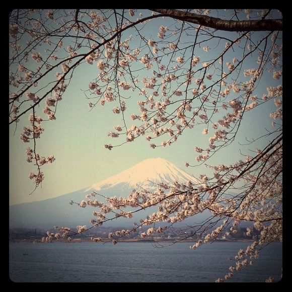 Meet your Posher, Evelyn - Picture 1 of 1